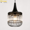 1 Alden Crystal Cage Hanging Light