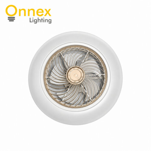 1 Light Fan (25W) RGB with Remote