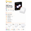 2 RGB Square Surface Light (Ceiling Mounted Type)