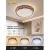 2 Velora Wave Ceiling Light (3Tone)