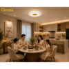 3 Celestine Cloud Ceiling Light 45W Daylight Only (380mm) Medium
