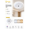 3 Orlena Sparkling Sunburst Ceiling Light