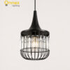 3 Alden Crystal Cage Hanging Light