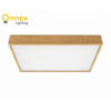 Modern Rectangle (40W) Ceiling Light