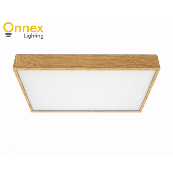Modern Rectangle (40W) Ceiling Light